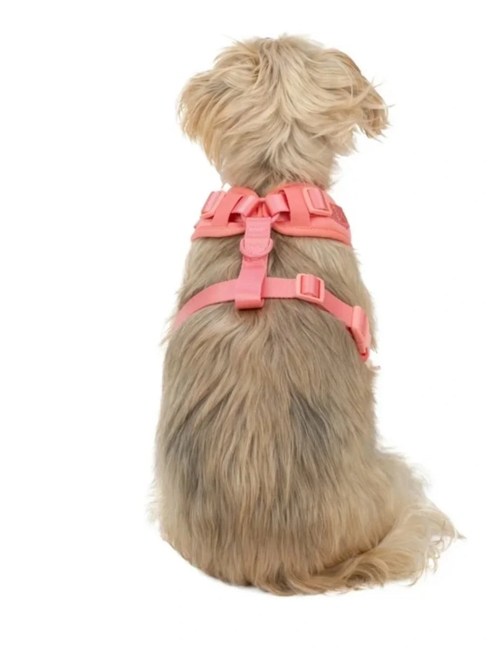 EveryYay Full Dog Harness, Pink, X-Large/XX-Large